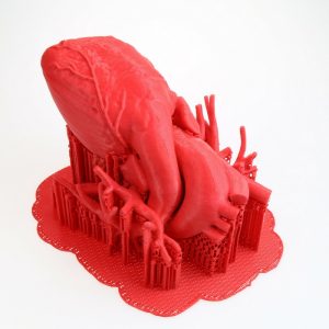 3D print with supports of Fiberflex 40D