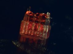 3D-Printed Scaffolds Promote Nerve Growth in Spinal Cord Injuries