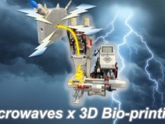 Researchers Develop 3D Bioprinting Method for Customized Dysphagia Food