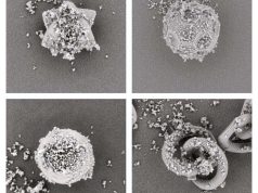3D printing enables more precise carrier particles for inhalation medications
